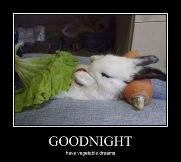 Goodnight смешные