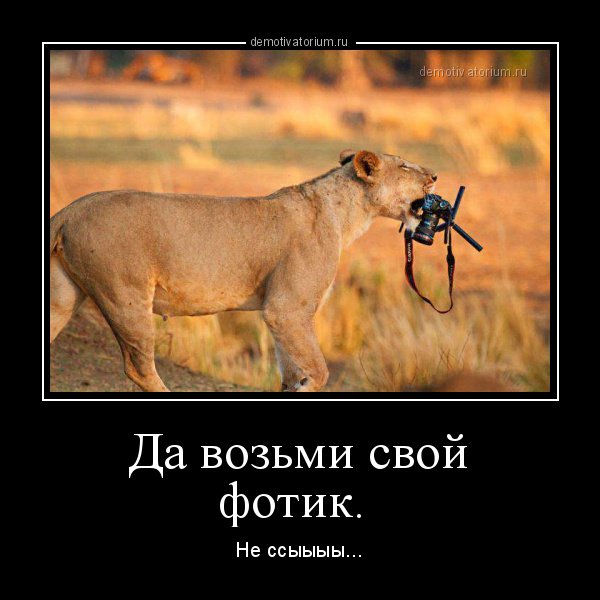 Картинки прикольные демотиваторы