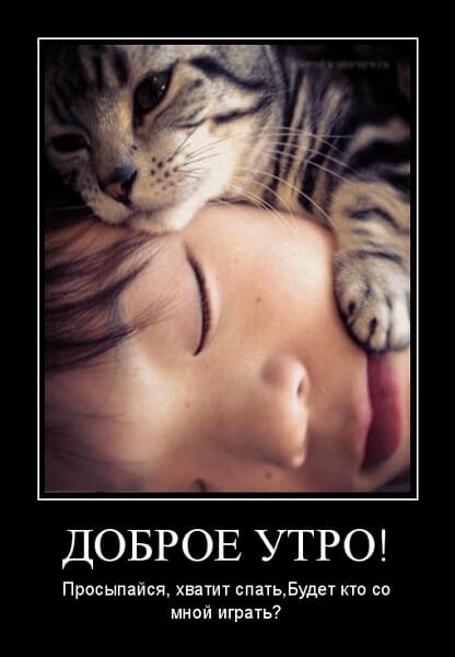 С добрым утром демотиваторы смешные