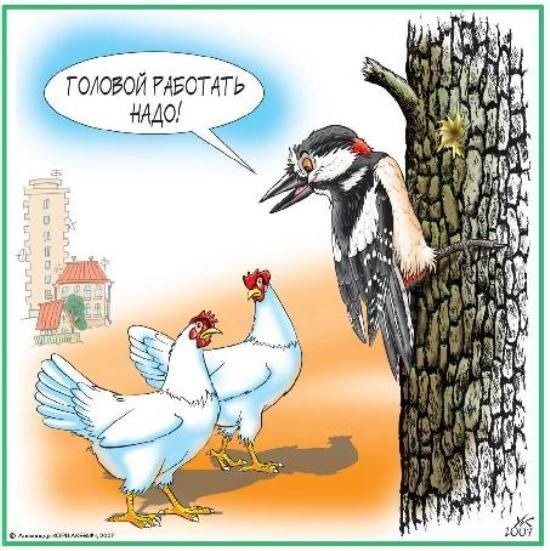 Дятел карикатура