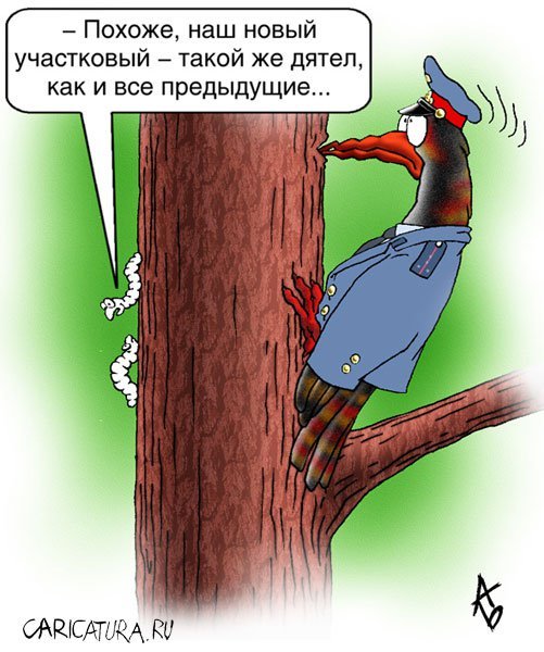 Шутки про дятла