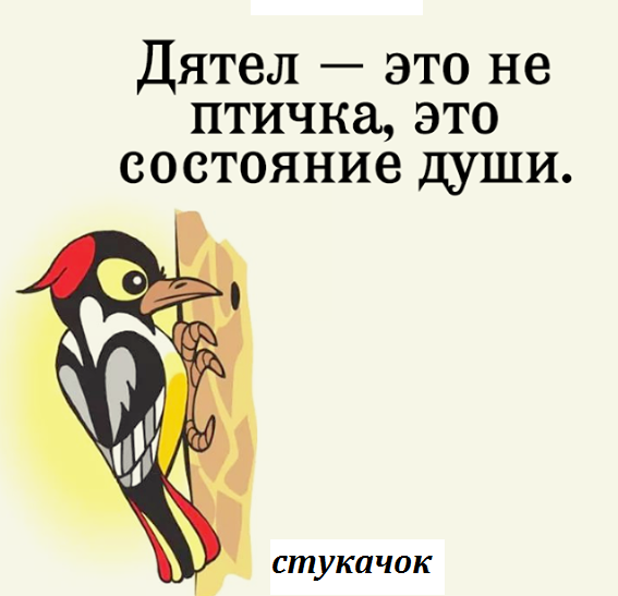 Шутки про дятла