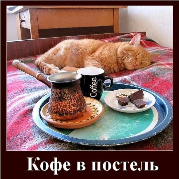 Завтрак в постель прикол