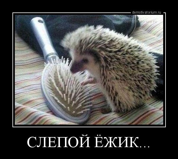 Слепой Ежик