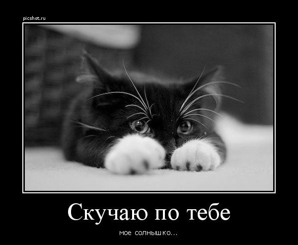 Открытки мне грустно и одиноко