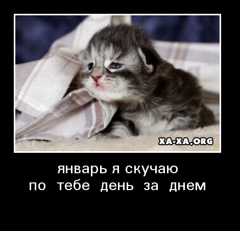 Демотиватор скучаю по тебе