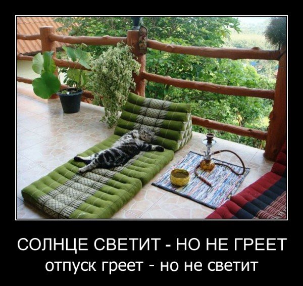 Демотиваторы про отпуск прикольные