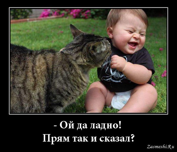 Ой да ладно картинки
