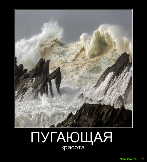 Фотограф юмор