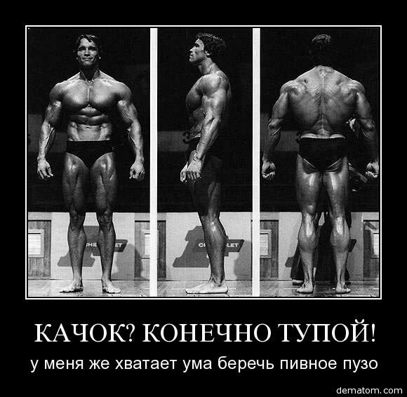 Качок мотиватор