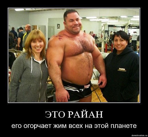 Райан Кеннели жим лежа 486 кг