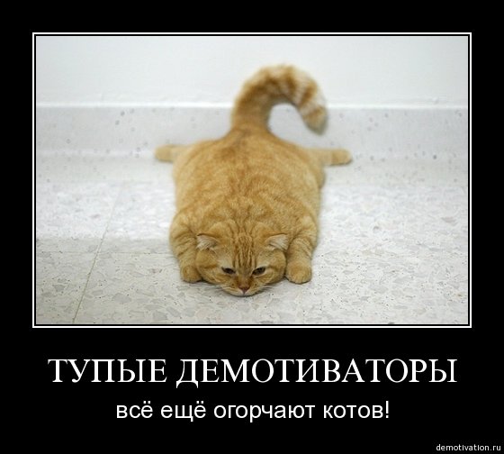 Демотиваторы про тупых
