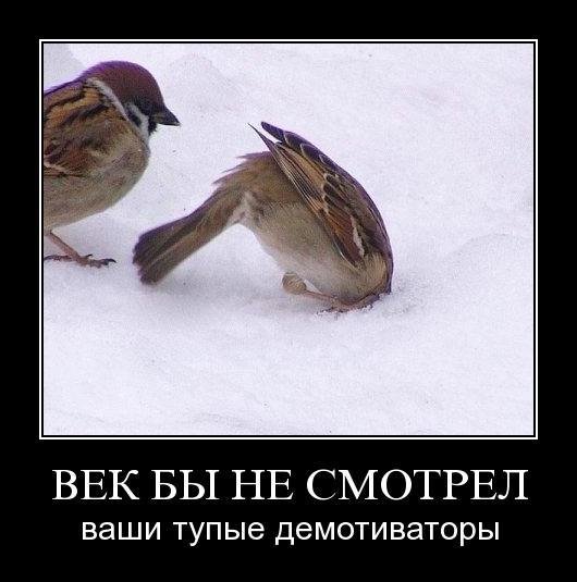 Демотиваторы про тупость