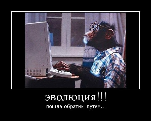 Программист демотиватор