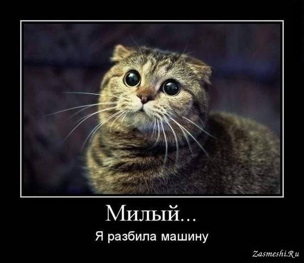 Демотиваторы с матом
