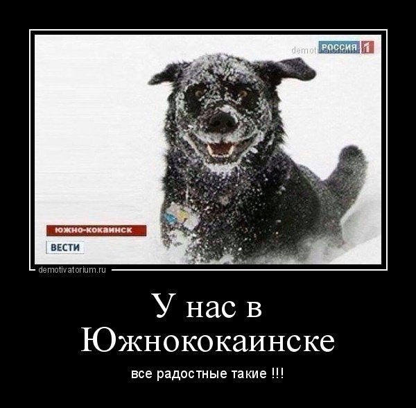 Анекдоты про вождение автомобиля