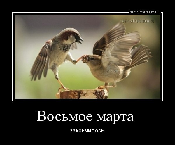 Демотиваторы 9 марта (47 фото)