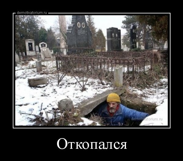 Приколы откопались