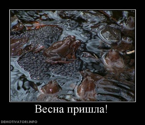 Демотиваторы про весну