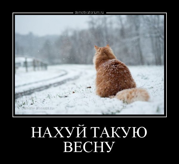 Приколы про зиму и весну
