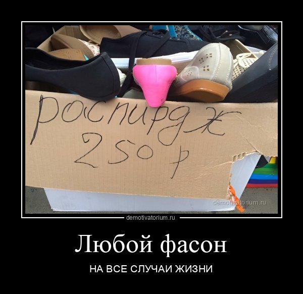 Миллионы лет эволюции