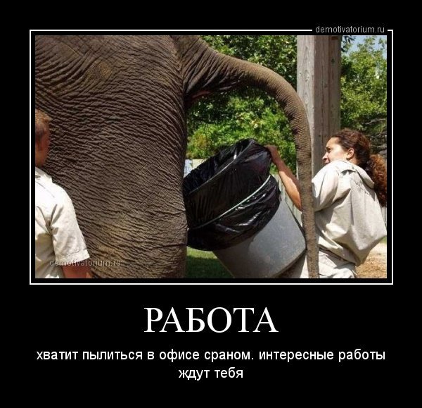 Прикольные про работу