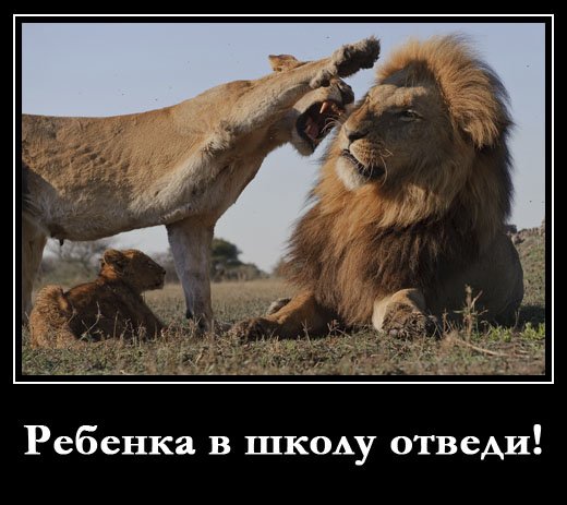 Демотиваторы про совместную жизнь