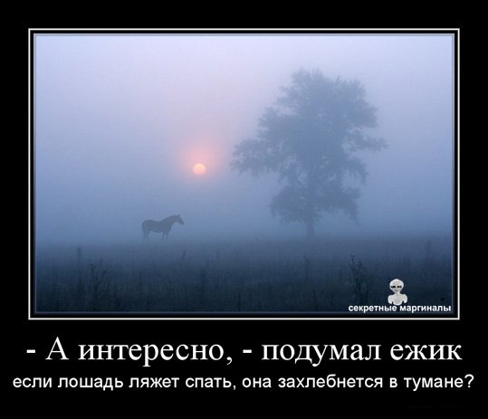Лошадка Ежик в тумане
