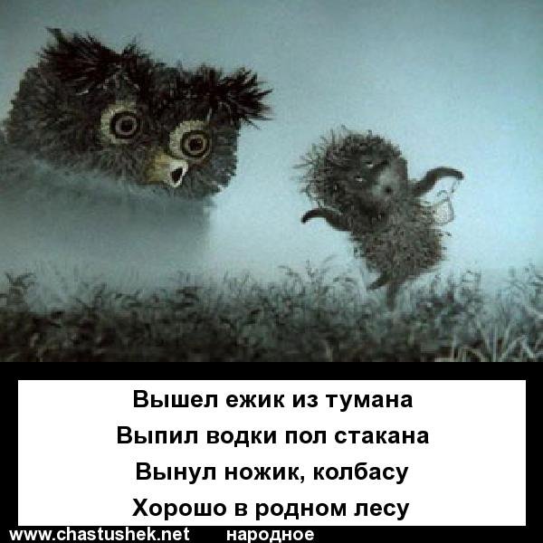 Шутки про ежика в тумане