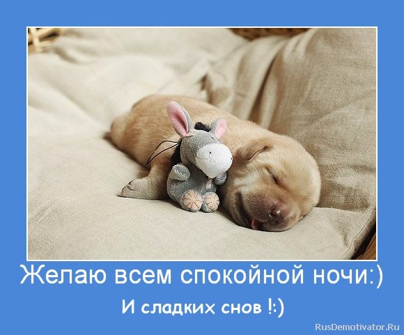 Доброе утро спящие животные