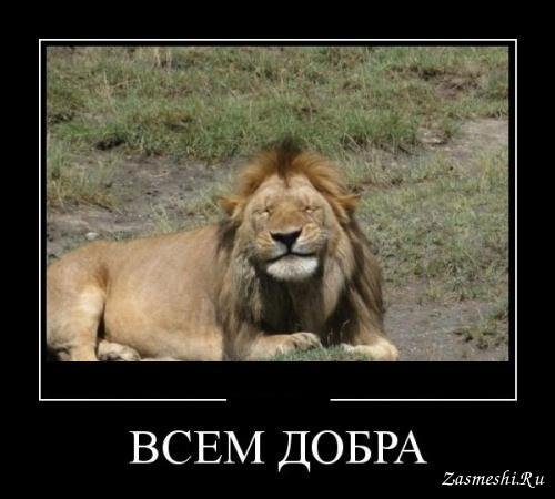 Лев демотиватор