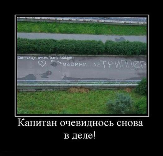 Шахматы мотиватор