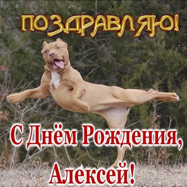 Поздравления с днём рождения Алексею