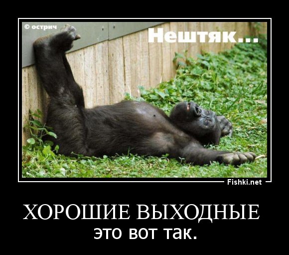 Про выходные смешные