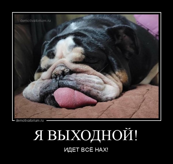 Демотиваторы про выходные
