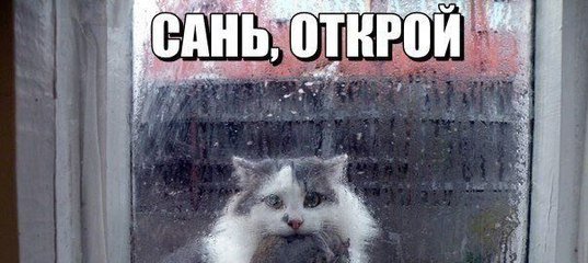 Саня Открой