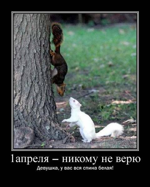 Первое апреля демотиваторы