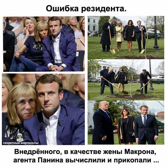 Брижит Макрон карикатура
