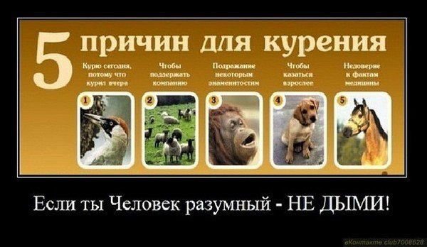 ЗОЖ демотиваторы
