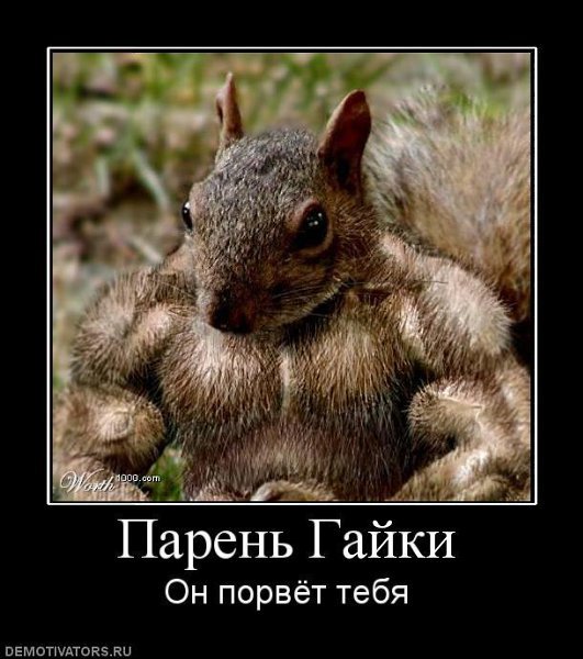 Марка Red Squirrel Sciurus vulgaris Нидерланды