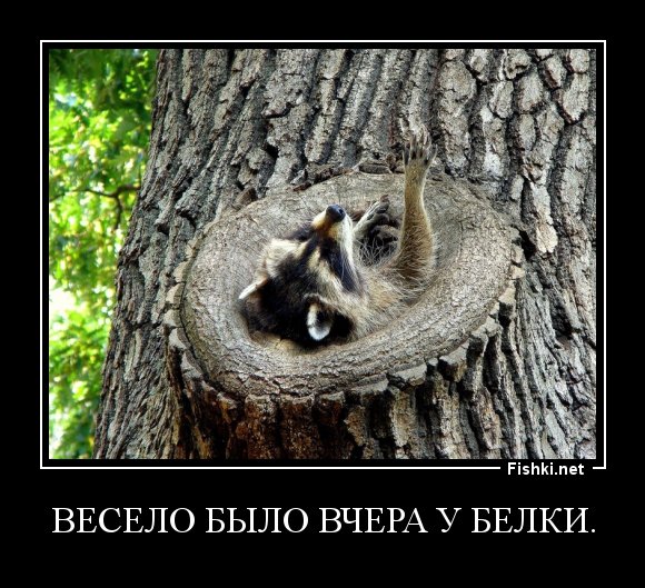 Смешные до слёз демотиваторы
