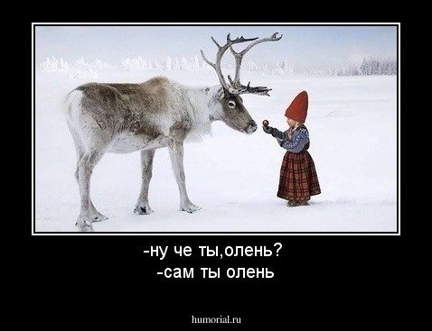 Олень юмор