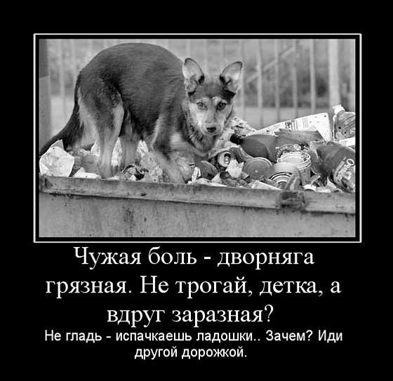 Демотиваторы про преданность