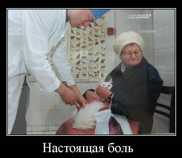 Больной человек демотиватор