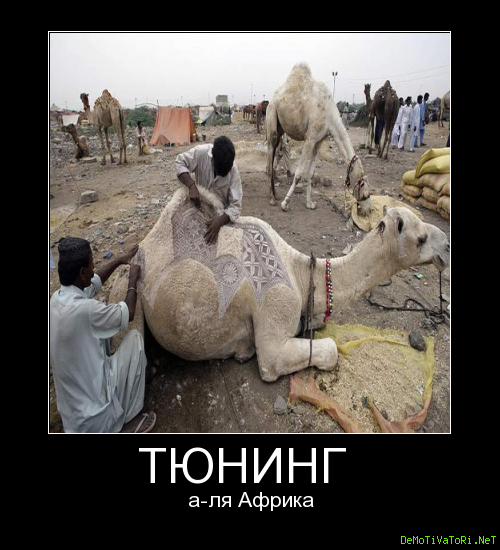 Мотиваторы патриотические