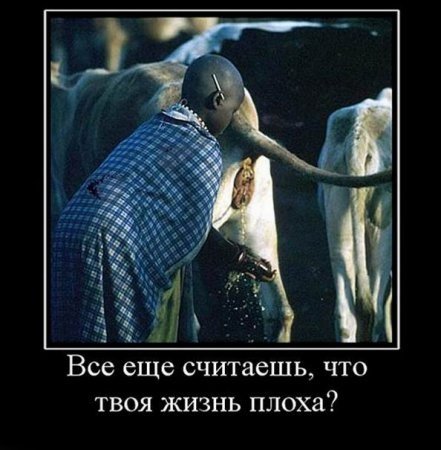 Демотиваторы про африканцев