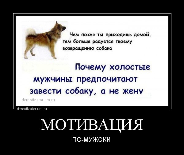 Мотивационные демотиваторы