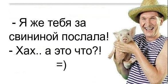Картинки Сваты приколы
