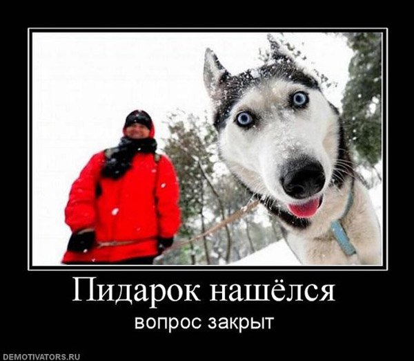 Лайки демотиватор