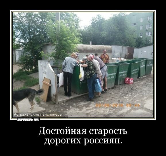 Пенсионеры демотиваторы